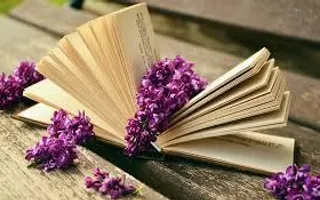 Which is the best book? Which is the best book?