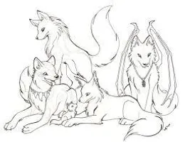 What type of wolf are you? What type of wolf are you?