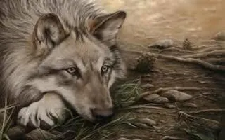Would you rather be a Wolf, Fox, Or Mixed? Would you rather be a Wolf, Fox, Or Mixed?