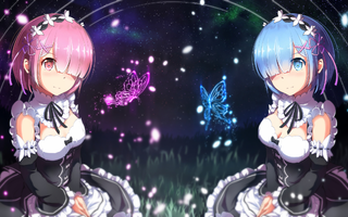 Rem or Ram?