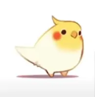 what should my next pet be? what should my next pet be?