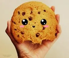 Wich cookie Looks better and tasts better :3? Wich cookie Looks better and tasts better :3?