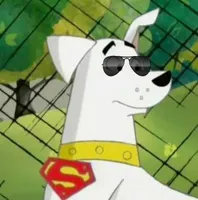 Which of these is cuter? (1) Which of these is cuter? (1)