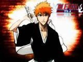 Do you like bleach the anime