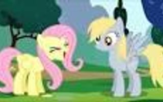 Cool_Derpy or Cool_fluttershy?