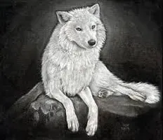 What rate (from 1 to 10) Would you give a wolf? What rate (from 1 to 10) Would you give a wolf?
