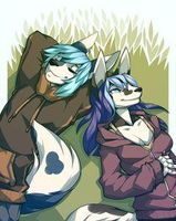 Which furry couple? (1)