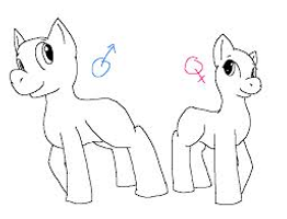 Which are you?A colt/boy or a mare/girl?