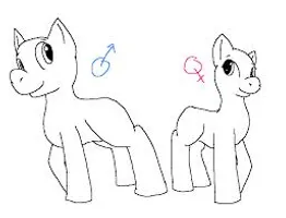 Which are you?A colt/boy or a mare/girl? Which are you?A colt/boy or a mare/girl?