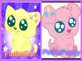 Which my little pet should I create? (I know I already asked this but this is the poll version) PLZ also tell me why u think!