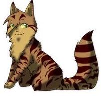 Crookedstar or Leopardstar?