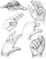 Which is Your Dominant Hand?