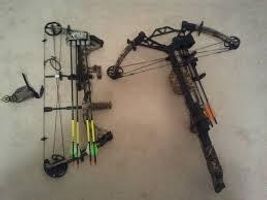 Bows Or Crossbows?