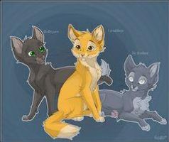 Jayfeather, Hollyleaf, or lionblaze? :D