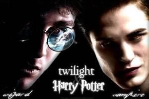 Harry Potter? or Twilight?