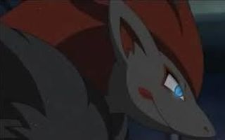 How much do you love Zoroark?