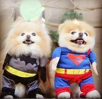 Which of these is more awesome? Which of these is more awesome?