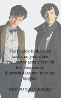 The doctor companion or sherlock's blogger what would you choose.