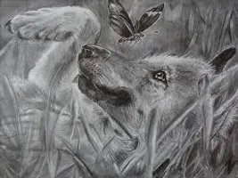 How would you feel about having a wolf pet? How would you feel about having a wolf pet?
