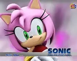 Which is the best couple for Amy Rose the hedgehog? Which is the best couple for Amy Rose the hedgehog?