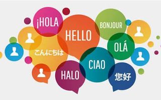 What language do you want to learn?