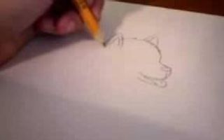 How do draw a husky puppy