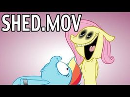 SHED.MOV