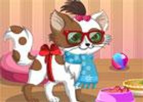 Cat Games- Kitty Games Online