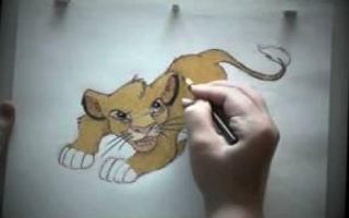 How to Draw and Color Simba