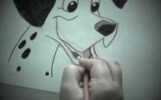 How To Draw and Color Pongo