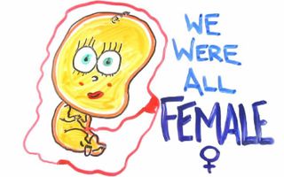 We were all female