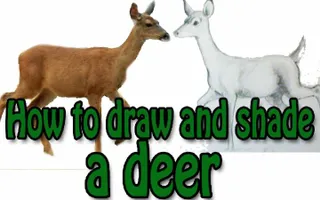 How to draw and shade a deer How to draw and shade a deer