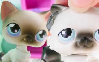 LPS- Stuck Together -Episode 8 (Ghost Hunters)