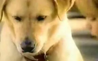 How To Eat An Oreo - OREO COMMERCIAL How To Eat An Oreo - OREO COMMERCIAL