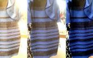 The Science of Why No One Agrees on the Color of This Dress | WIRED