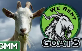 6 Weird But Real Companies 6 Weird But Real Companies