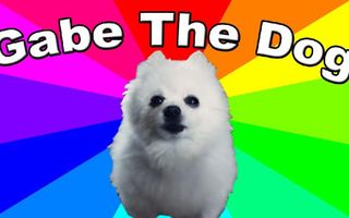 What is Gabe the dog? The History & Origin Of Bork Remixes And Gabe The Dog Memes