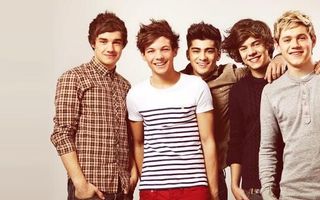 Which One Direction Boy Would Date You? (1)