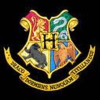 Muggle studdies O.W.L's