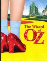 Th wizard of OZ:are you a good witch or A bad witch ????