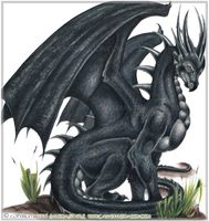 A dragon Quiz