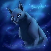 Do you know Bluestar?