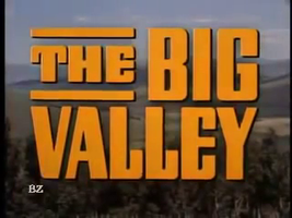 Which "The Big Valley" Character are You?