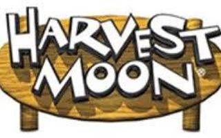 Which Harvest Moon Character Are You?