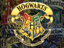 HARRY POTTER - WHAT HOGWARTS HOUSE DO YOU BELONG IN?