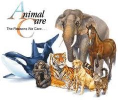 What type of animal are you? (1)