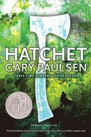 Hatchet Chapter 11