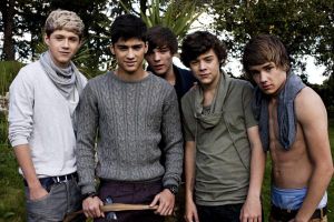 One Direction Quiz (3)