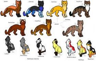 What is your warrior cat name? (4)