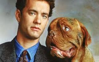 Turner & Hooch